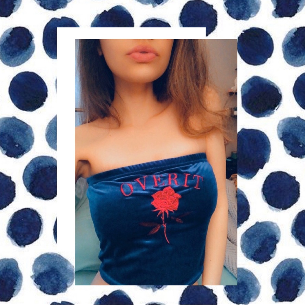 🦋 velvet embroidered tube top 🦋